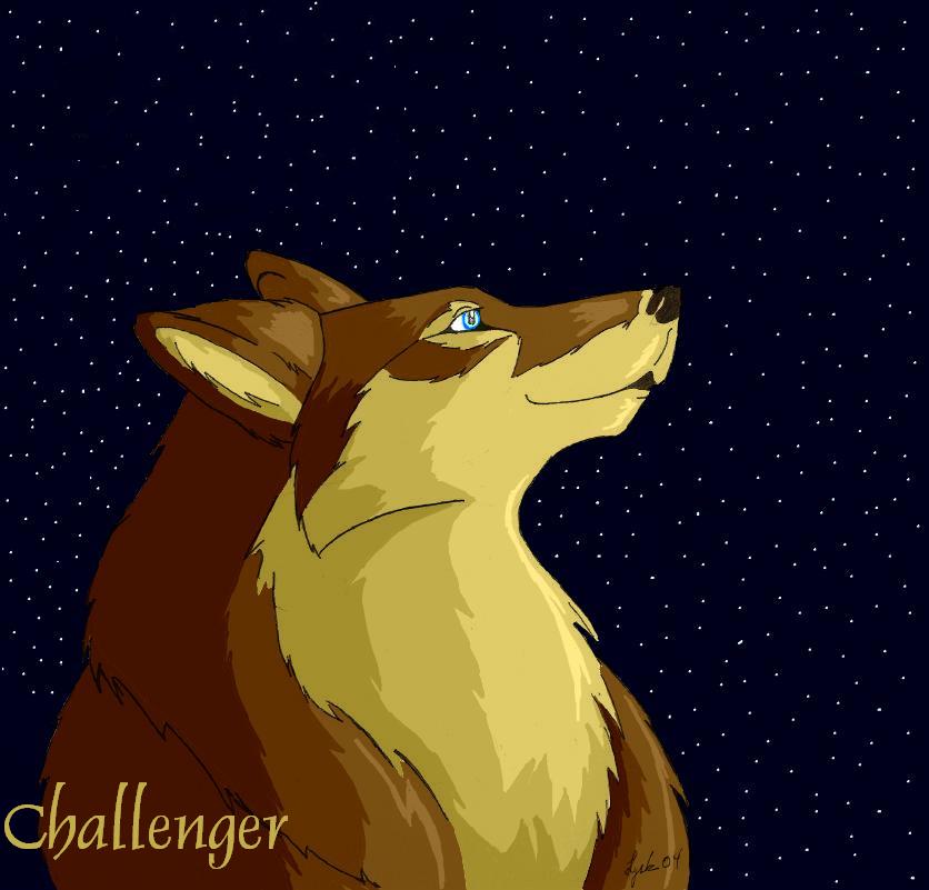 challenger.jpg 