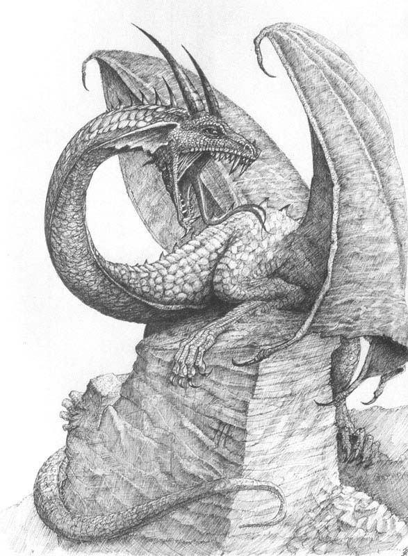 dragon.jpg TituS