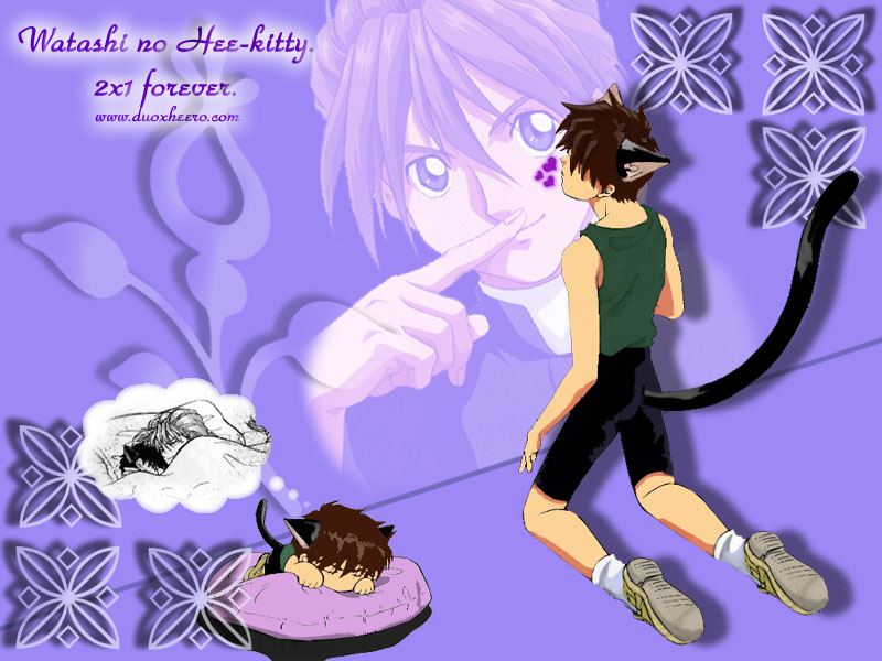 heekitty.jpg Hiei