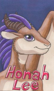 honah_lee.jpg 
