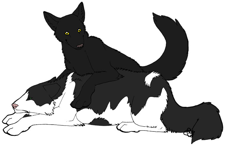 katzehunds.jpg Azzy
