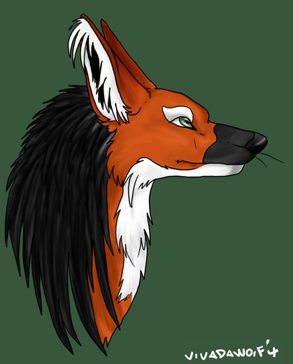 mahead.jpg 