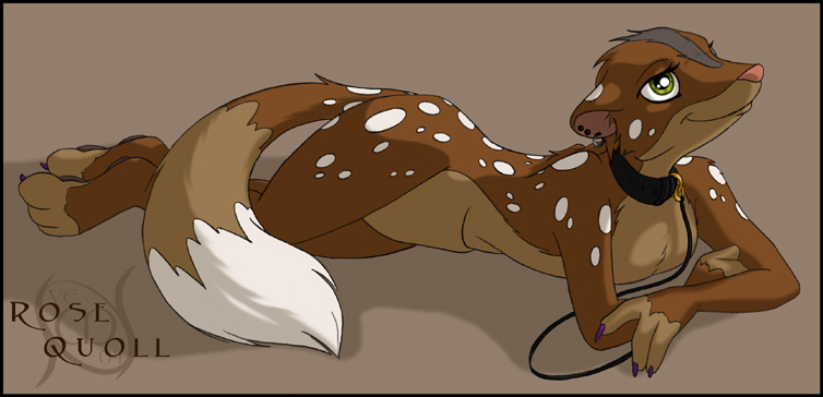 rosequoll.jpg Blitterbug