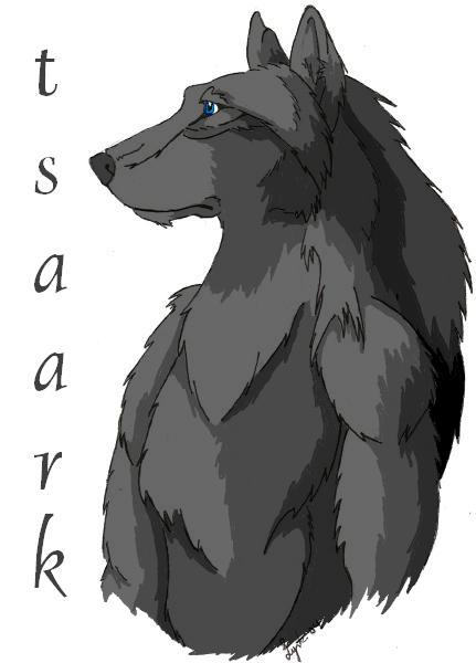 tsaarkcolored.jpg 
